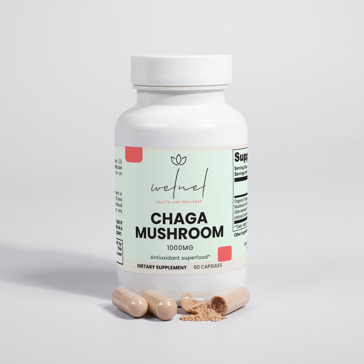 Chaga Mushroom