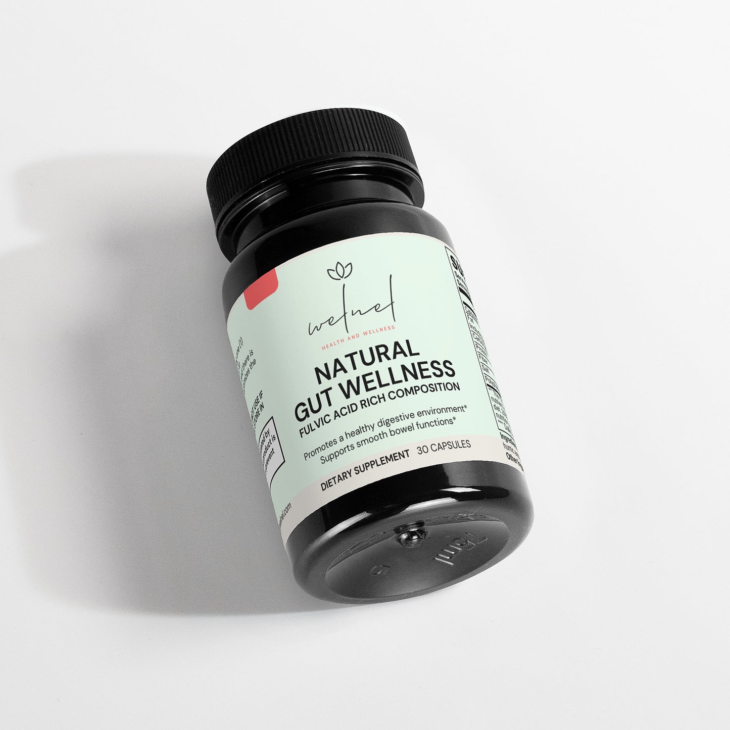 Natural Gut Wellness Capsules