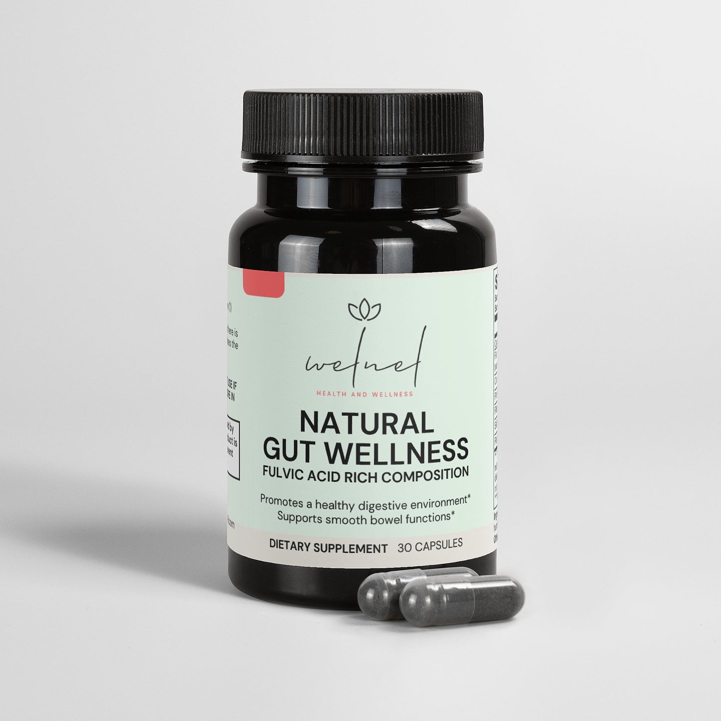 Natural Gut Wellness Capsules